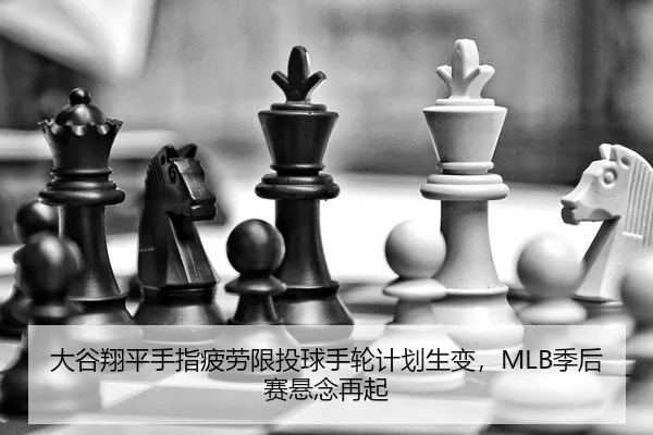 da-gu-xiang-ping-shou-zhi-pi-lao-xian-tou-qiu-shou-lun-ji-hua-sheng-bian-ji-hou-sai-xuan-nian-zai-qi-2-500.jpg